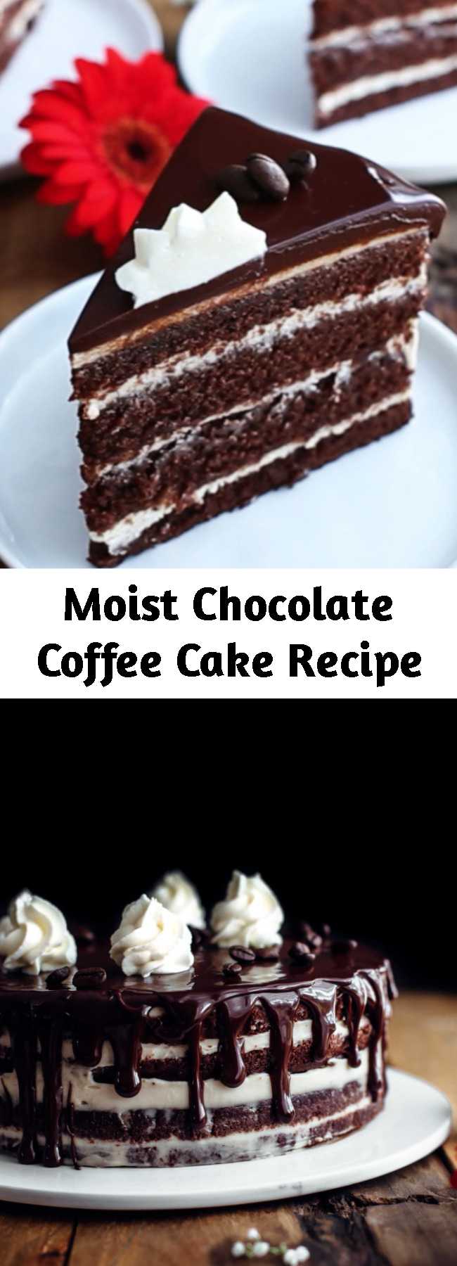 Moist Chocolate Coffee Cake Recipe Mom Secret Ingrediets 0339